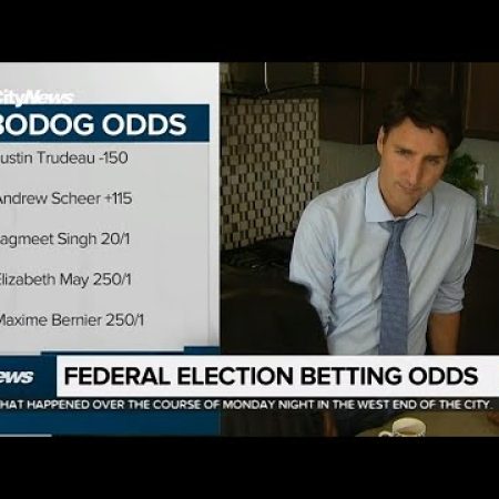 Federal election betting odds