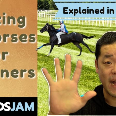 Horse Race Betting Strategy | Sports Betting on Horse Races for Beginners | A Tutorial