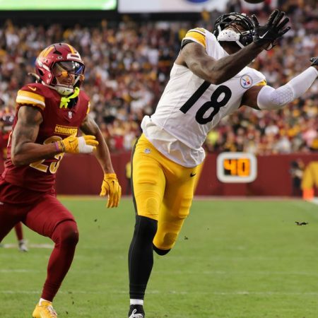 What to expect from new Steelers WR Mike Williams for rest-of-season