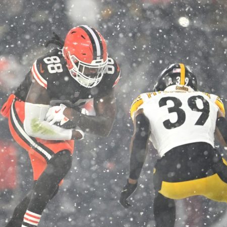 Steelers fall to 8-3 with snowy road loss to the Browns