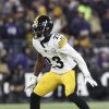 Former Steelers defender signs with Browns