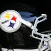 Does the standard still exist for the Pittsburgh Steelers?