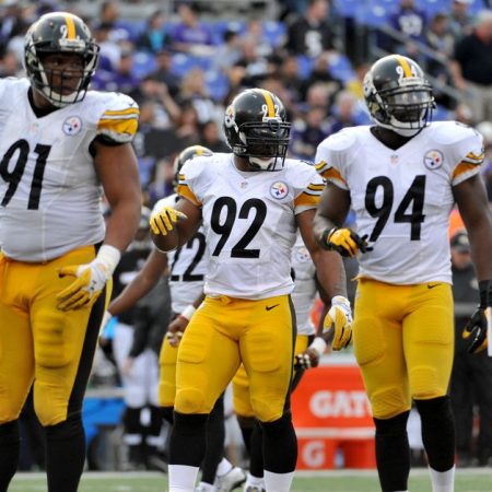 Catching up with the 2015 Steelers: Defense