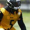 Pittsburgh Steelers training camp: Biggest standouts from first week of practices